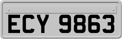 ECY9863