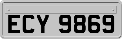 ECY9869