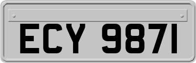 ECY9871