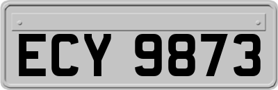 ECY9873