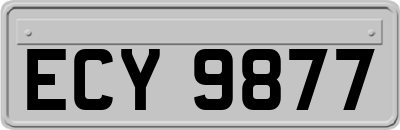 ECY9877