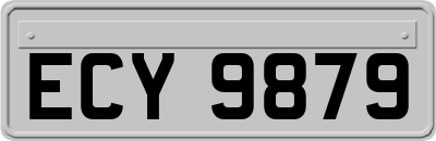 ECY9879