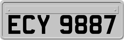 ECY9887