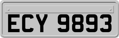 ECY9893