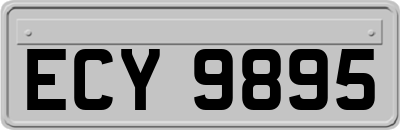 ECY9895