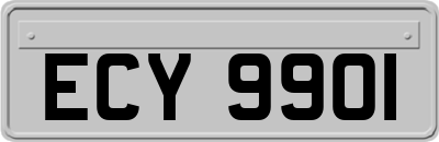 ECY9901