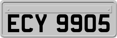 ECY9905
