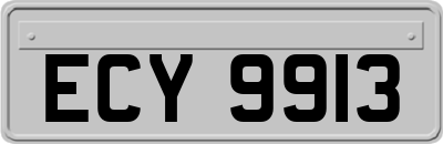 ECY9913