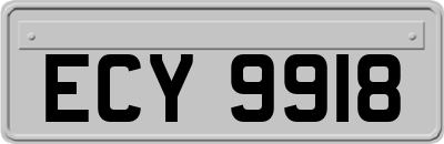 ECY9918