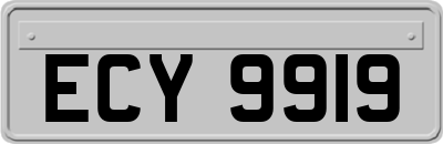 ECY9919