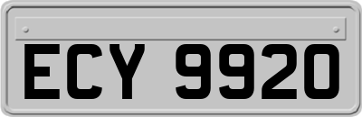 ECY9920