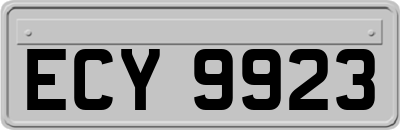 ECY9923