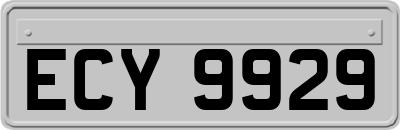 ECY9929
