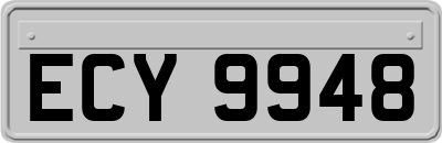 ECY9948