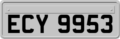 ECY9953