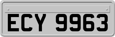 ECY9963