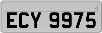 ECY9975