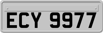 ECY9977