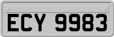 ECY9983