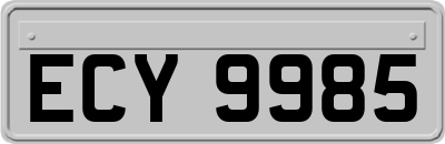 ECY9985
