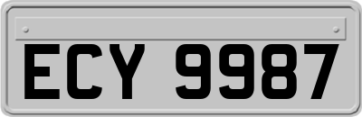 ECY9987