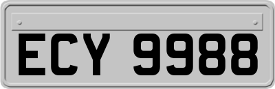 ECY9988