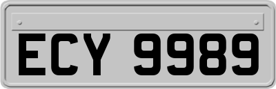ECY9989