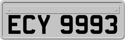 ECY9993