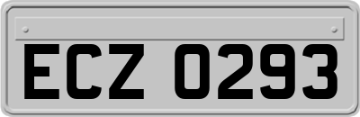 ECZ0293