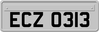 ECZ0313