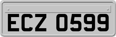 ECZ0599