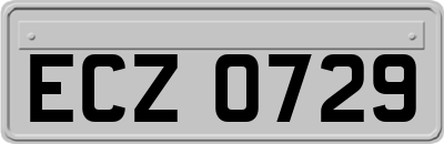 ECZ0729