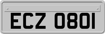ECZ0801