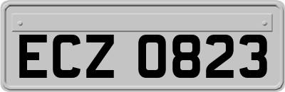 ECZ0823
