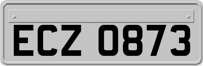 ECZ0873