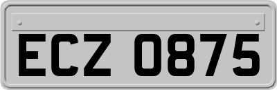 ECZ0875