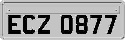 ECZ0877