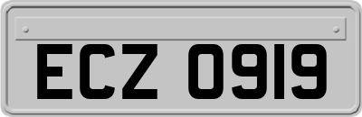 ECZ0919