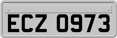 ECZ0973