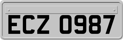 ECZ0987