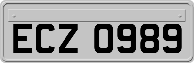 ECZ0989