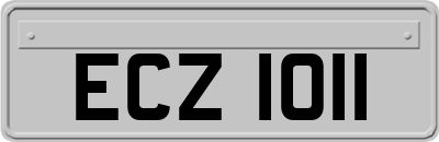 ECZ1011