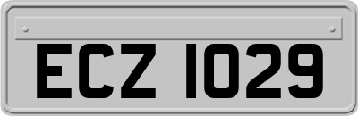 ECZ1029