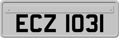 ECZ1031