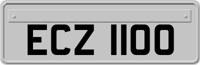 ECZ1100