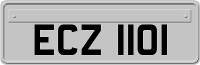 ECZ1101