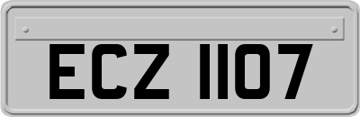 ECZ1107