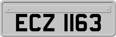 ECZ1163