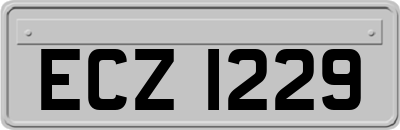 ECZ1229