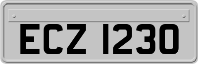 ECZ1230